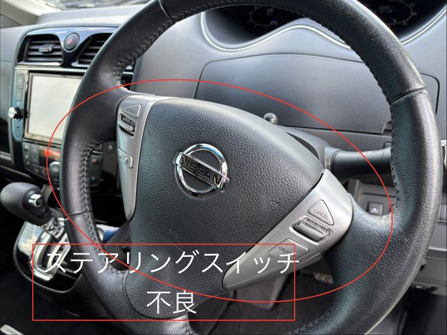 SERENA  S-HYBRID