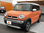 HUSTLER 4WD