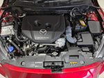MAZDA2