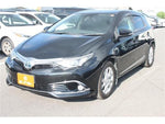 AURIS HYBRID