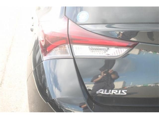 AURIS HYBRID