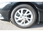 AURIS HYBRID