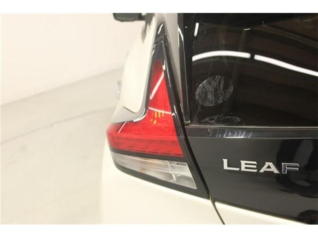 LEAF