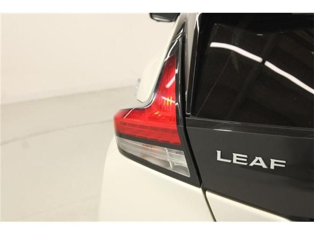 LEAF