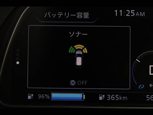 LEAF