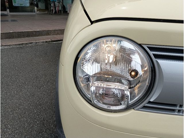 ALTO LAPIN