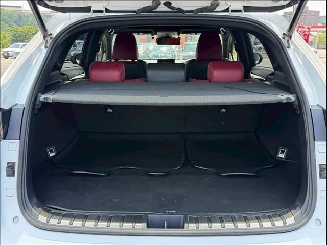 LEXUS NX200t