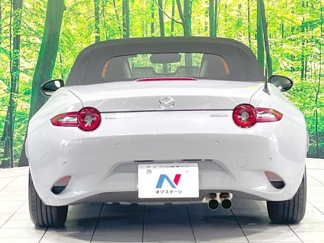 ROADSTER
