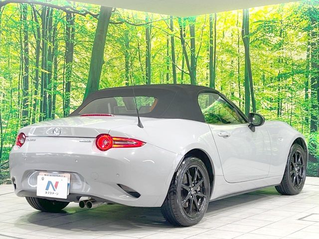 ROADSTER