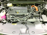 CROWN SPORT