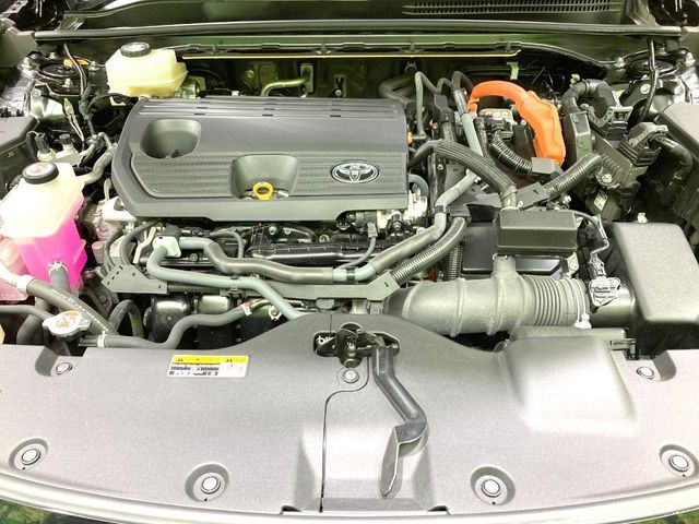 CROWN SPORT