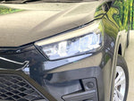 RAIZE HYBRID
