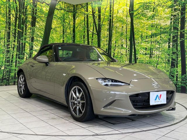 ROADSTER