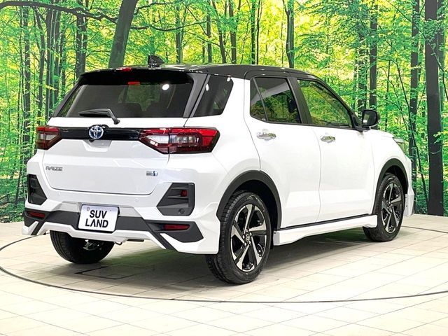 RAIZE HYBRID