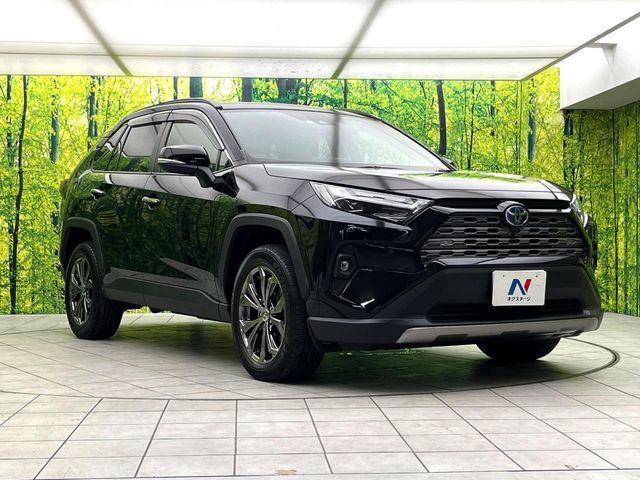 RAV4 HYBRID 4WD