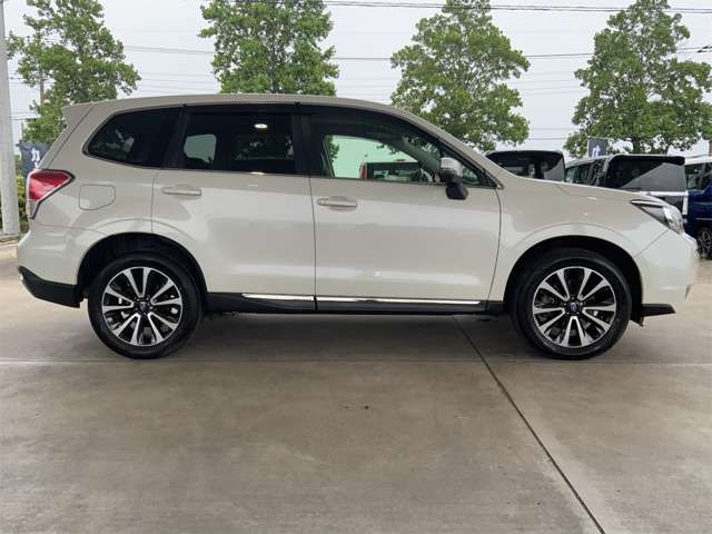 FORESTER