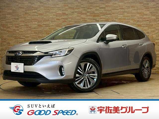 LEVORG LAYBACK