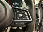 LEVORG LAYBACK