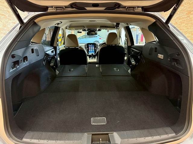 LEVORG LAYBACK