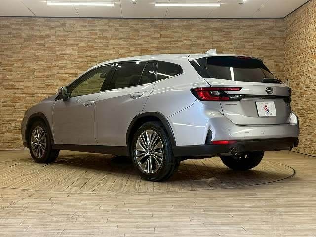 LEVORG LAYBACK