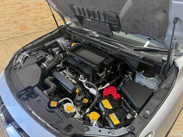 LEVORG LAYBACK