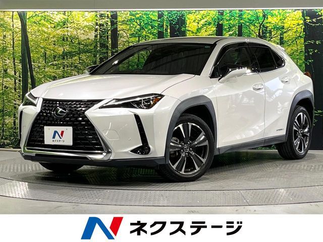 LEXUS UX250h