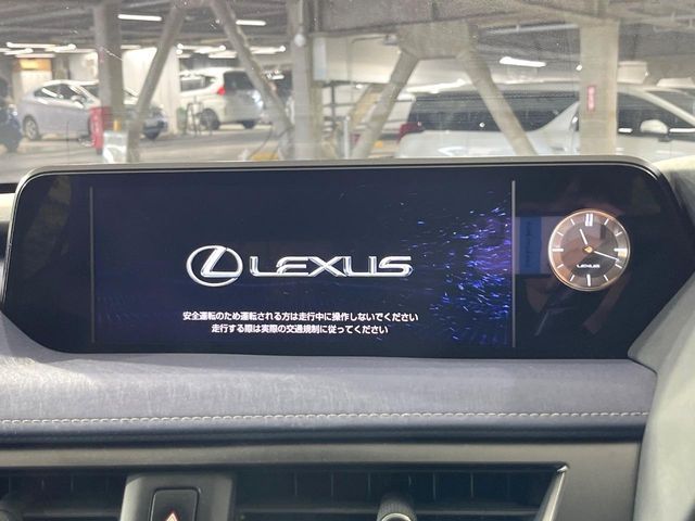 LEXUS UX250h
