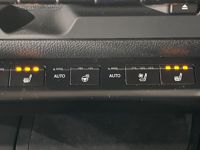LEXUS UX250h