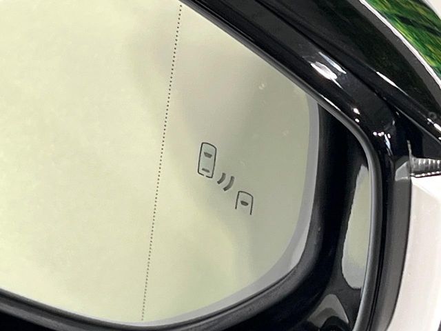 LEXUS UX250h