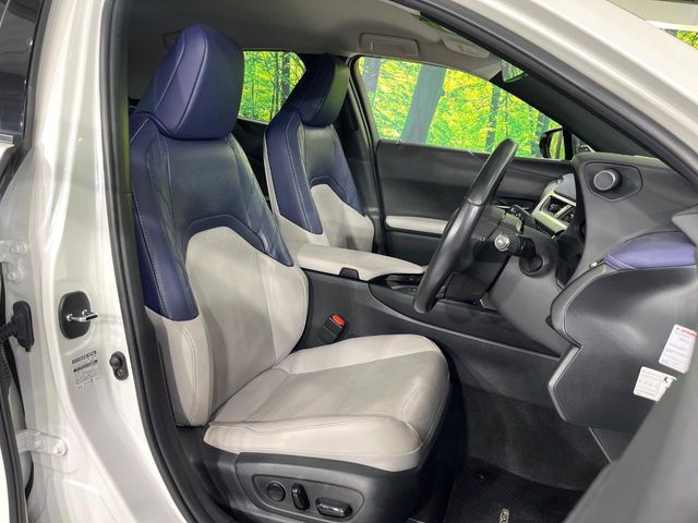LEXUS UX250h