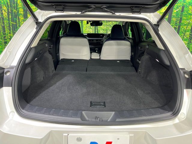 LEXUS UX250h