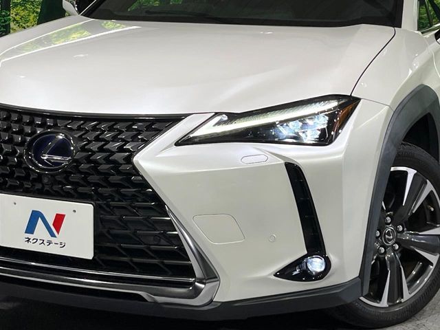 LEXUS UX250h