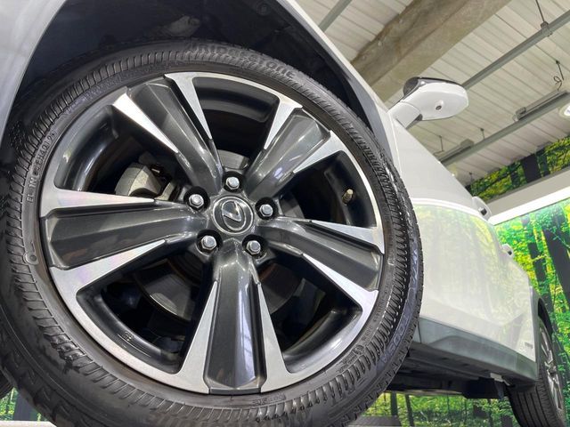 LEXUS UX250h