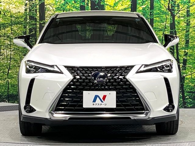 LEXUS UX250h