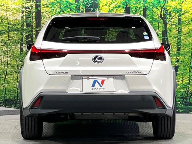 LEXUS UX250h