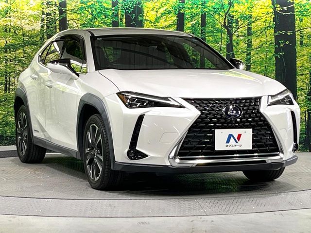 LEXUS UX250h