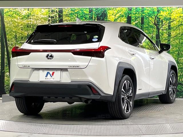 LEXUS UX250h