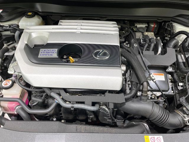 LEXUS UX250h