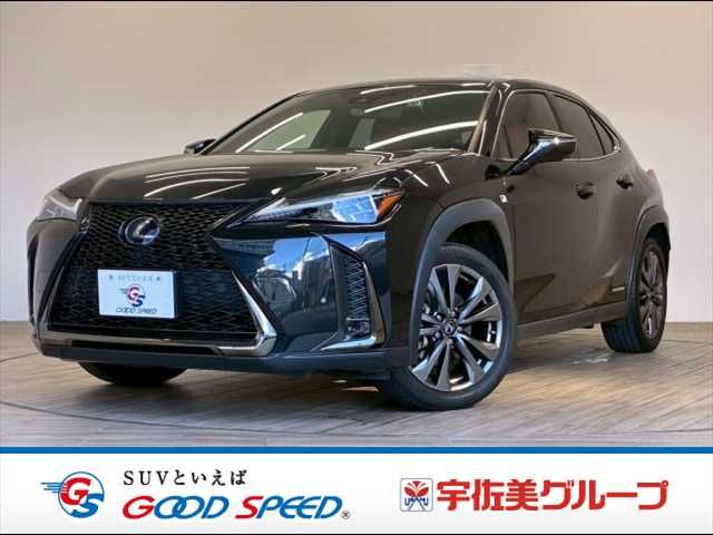 LEXUS UX250h