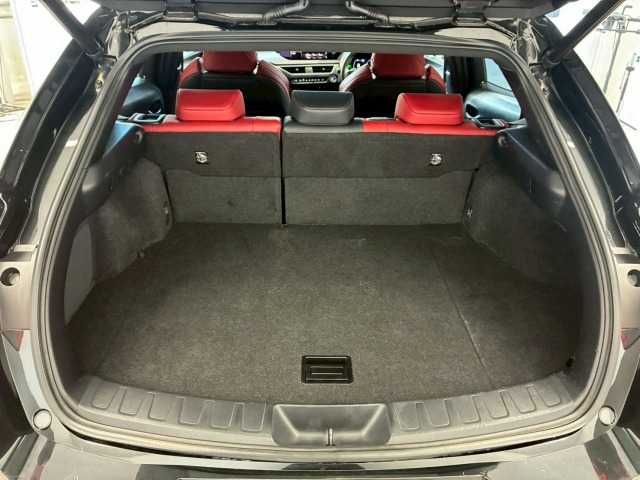 LEXUS UX250h