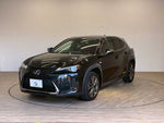 LEXUS UX250h