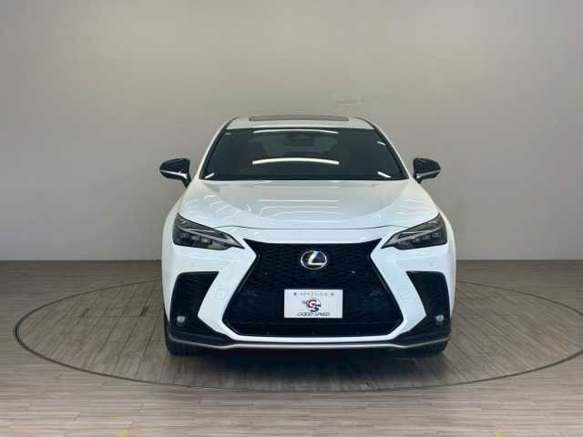 LEXUS NX450h+ AWD