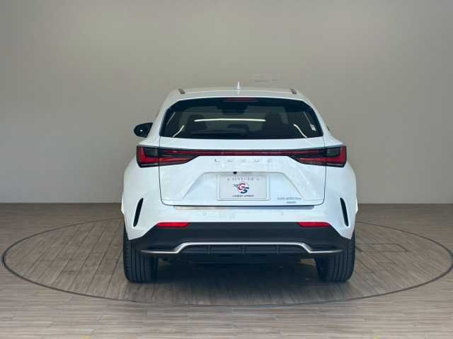 LEXUS NX450h+ AWD