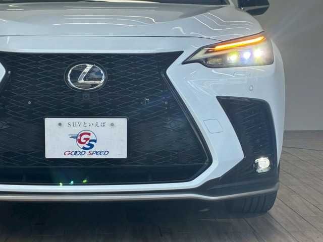 LEXUS NX450h+ AWD