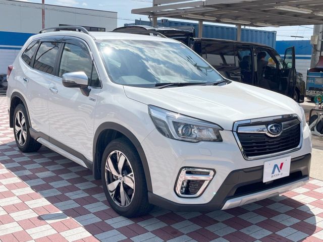 FORESTER