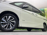 SERENA  S-HYBRID