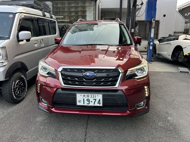 FORESTER