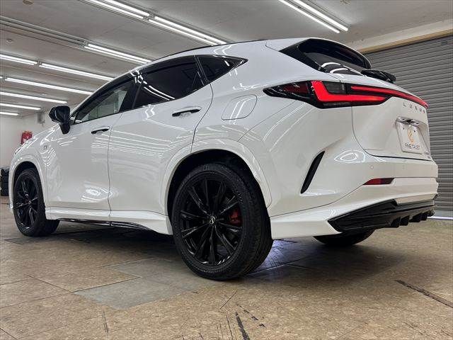 LEXUS NX350h AWD