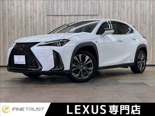 LEXUS UX250h