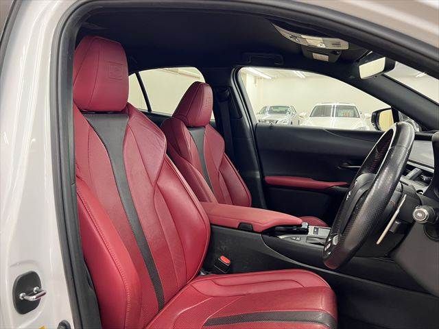 LEXUS UX250h